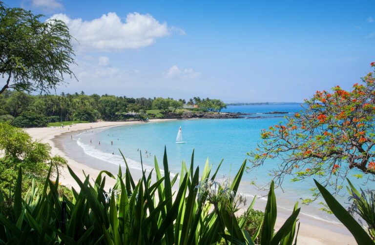 A serene beach scene featuring a sailboat gliding in the distance against a clear blue sky.